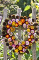 Heart wreath of dried coneflower seedheads and strawflowers hanging on fence.