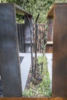 Bed with charcoal and charred wood and regenerating fire damaged Eucalyptus dalrympleana.

The Body Shop Garden 

Designer: Jennifer Hirsch

RHS Chelsea Flower Show 2022 Sanctuary Gardens