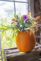 Hollowed out pumpkin with autumn cut flowers including aster, feverfew, pittosporum, hakonechloa and cotoneaster