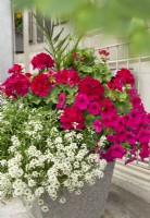 Plant container with annuals, summer July