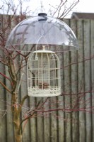 Squirrel proof bird feeder with plastic baffle