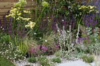 A border of nectar rich perennials such as agapanthus, fleabane, sea hollies, verbena, perovskia, salvia, sea pinks, betony and lamb's ear.