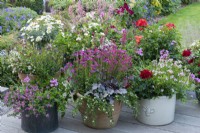 Centre: Heuchera 'Silver Gumdrop', coral bells, in terracotta pot with Nemesia 'Framboise' and white bacopa. Right: Nemesia 'Amelie' with lilac ivy-leaf pelargonium. Left: pink bacopa and pelargonium.