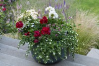 Copper pot planted with red and white geraniums, verbena, dianthus and white bacopa.