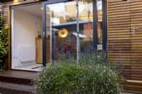 Home office at night with Erigeron karvinskianus in border