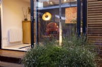 Home office at night with Erigeron karvinskianus in raised bed
