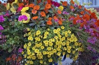 Well planted and maintained bedding display performing well into October - Exmouth, Devon, UK