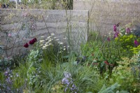 The Mind Garden. Designer: Andy Sturgeon. Sculptural walls dividing areas of the garden. With soft mixed planting of grasses, poppies and Oxeye Daisy. RHS Chelsea Flower Show 2022. Gold Medal.