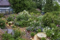 View from the house down to the terrace where a bubbling bowl water feature is flanked by box balls, pots of violas, hardy geraniums, foxgloves and roses. On left, weeping standard rose 'Rambling Rector'.