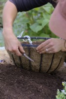 Making holes through coir basket mat or liner to allow planting of plant plugs