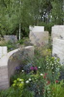 The Mind Garden. Designer: Andy Sturgeon. Sculptural walls dividing areas of the garden. With soft mixed planting of grasses, campanula, euphorbias and rose. RHS Chelsea Flower Show 2022. Gold Medal.