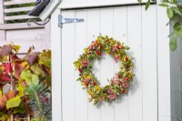 Berry wreath hanging on the front of a small garden shed