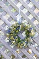 Ivy, Symphoricarpos and Eryngium wreath hanging on a crossed wooden fence