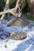 Bird feeder hanging from a tree in winter