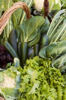 Fresh vegetables in basket including lettuce, cauliflower, courgettes, and spring cabbage.
