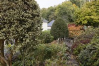 A mixture of shrubs and trees line a stone paved path with a house in the background. Whitstone Farm, Devon NGS garden, autumn