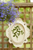 Painted vintage frame with pressed foliage artwork on patio trellis