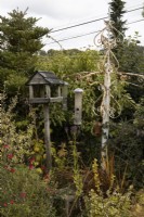 A white, rusty bird feeding station with various feeders stands beside an old wooden bird table. Autumn.