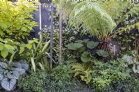 Shady border with tree fern, Dicksonia antarctica and Brunnera macrophylla 'Jack Frost' in small suburban garden