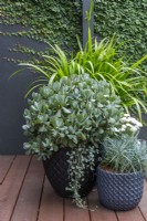 Three pots on an artificial timber deck.