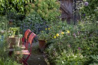 Informal cottage style garden borders, with stripey garden chairs, and shrubs to give height.