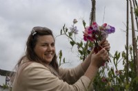 A lady picks sweet peas, Lathyrus odoratus, while holding a big bunch in her hand. Derryn Bank. June.