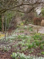 The winding paths of the garden provides interest and a constantly changing perspective.  By leaving the grass untrimmed and the taller Cornus sanguinea adds structure and further interest