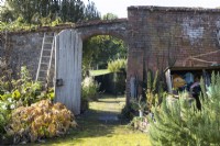 A moss covered gravel path leads through a large, open, aged, weathered, arched gate set in a red brick and stone wall. Various gardening paraphanlia sit either side, including a ladder, plant supports and a wooden store. A rosemary bush is in the foreground. Regency House, Devon NGS garden. Autumn