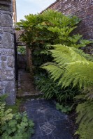Narrow side passage alonsdie house with ferns and Fatsia plant. Slate paved path.