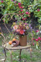 Autumn bouquet of flowers arranged in pottery vase displayed on rusty metal chair in orchard - Dahlias, Asters, Sedum, blackberries and Hawthorn