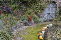 A variety of squashes in a row, ripening, line the edge of a moss covered and curved path, edging a vegetable patch. A large, weathered, double, wooden gate is in the background with a mixed flower border, on a retaining red brick wall on the left. Regency House, Devon NGS garden. Autumn