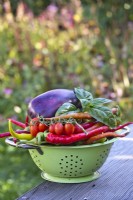 Colander with freshly harvested aubergine, basil, tomatoes and peppers.