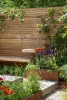Clay paver steps lead up through raised Corten steel planters to floating benches with contemporary style fencing, colourful planting of Salvia 'Caradonna' and Helenium 'Moerheim Beauty' with scented Trachelospermum jasminoidies climbing the fence - The Lunch Break Garden, RHS Hampton Court Palace Garden Festival 2022