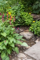 Woodland planting of Persicaria amplexicaulis and Inula  - The Trailfinders 50th Anniversary Garden, RHS Chelsea Flower Show 2021