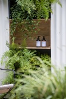Wooden shelving under a living wall - The Hot Tin Roof Garden, RHS Chelsea Flower Show 2021