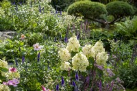 Late summer planting of Hygrangea sp., Veronica longifolia, Anemone x hybrida, Thalictrum 'Hewitts Double', Achillea millefolium and Salvia 'Caradonna', with rocks placed between planting - Bodmin Jail: 60 Degrees East, A Garden between Continents - RHS Chelsea Flower Show 2021