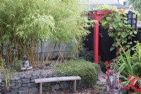 Tropical garden in August with raised bed planted with Phyllostachys vivax 'Aureocaulis'