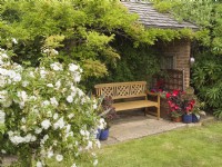 Garden pavillion with ornate wooden bench and container plants and white patio rose