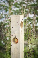 Wooden bird-feeder with apple among Sanguisorba and Calamagrosis grass in  The Wooden Spoon Garden, RHS Hampton Court Palace Garden Festival 2022