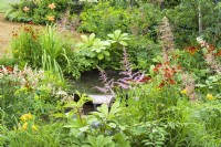 Corten steel water bowls surrounded with colourful plants including Rodgersia, Helenium 'Moerheim Beauty' and Astilbe. The Daily Mail and RHS Planet-Friendly Garden, RHS Hampton Court Palace Garden Festival 2022