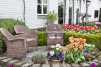 Courtyard with raised patio and garden furniture, containers with spring flowers, box hedges and borders with tulips.