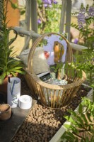 Seed packets in basket ready for sawing inside Alitex Greenhouse