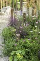 Perennial mixed planting in A Journey, in Collaboration with Sue Ryder garden at RHS Hampton Court Palace Garden Festival 2022 - Designed by Katherine Holland