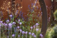 Summer border in front of Corten steel wall. With Agastache 'Black Adder', verbena and ornamental grasses. July. Flower Shows.