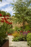 Hot bedding plants in the 'Lunch Break Garden', RHS Hampton Court Palace Garden Festival, London, July 2022 - Best in Show Get Started Gardens - Designer: Inspired Earth Design