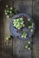 Freshly harvested gooseberries in container and loose
