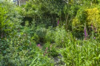 Small town garden overflowing with a mixed planting of perennials and shrubs. Mirror at the end of the path to provide a focal point.  May.