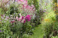 Colour themed borders in a cottage garden in July