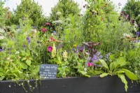 Alitex cutting garden in raised bed with colourful annuals and black memo chalkboard at RHS Hampton Court Palace Garden Festival 2022  