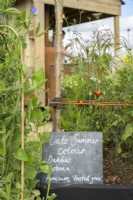  Sweet Peas and other annuals with black memo chalkboard in front of wooden shed at RHS Hampton Court Palace Garden Festival 2022 